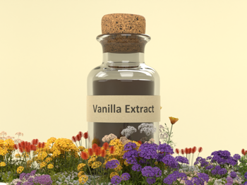 Vanilla Extract Bottle
